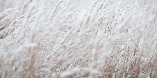 Začátek práce na Boží žni