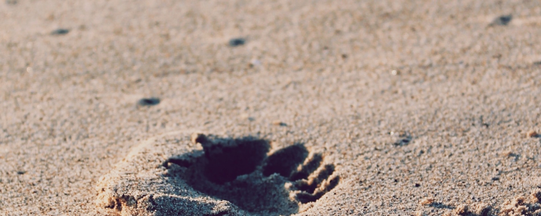 Na cestě s Ježíšem